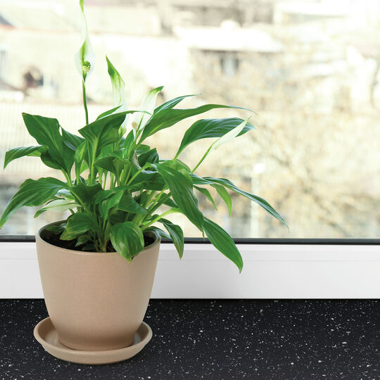 Klebefolie Black Granite image number null